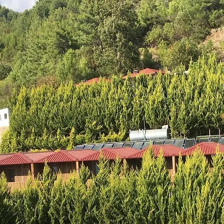 Sifa Tarlasi/ Heilgarten/ Healgarden 民宿 阿拉尼亚
